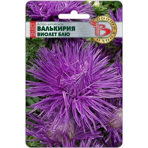 ������ ������ ����� ��������� ��������� SELECT ������ ��� ����