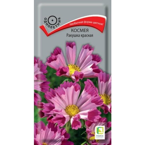 ������ ������ ������ ������ ������� ������� 0,1� ��� 120�� (�����) ����