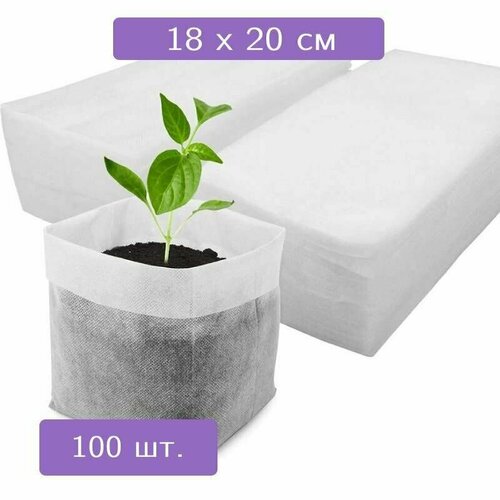 ������ ������ 100 ��. �������������� ����� ��� �������, ����� ����� ����� ������ ��� ������� �������� ����