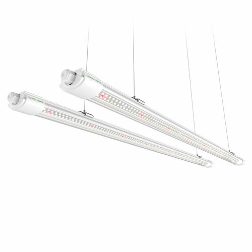   Mars Hydro VG80 Led 2  40    -     , -,   