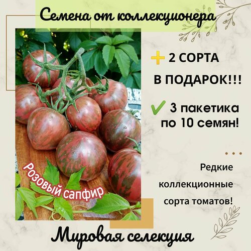 ������ ������ ����� ������� ������, �������� ���� ��������, ���, ������������� ���� ����