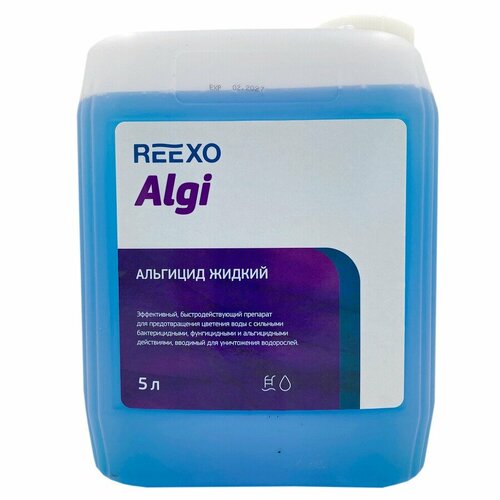     Reexo Algi       , 5 ,  -  1    -     , -,   