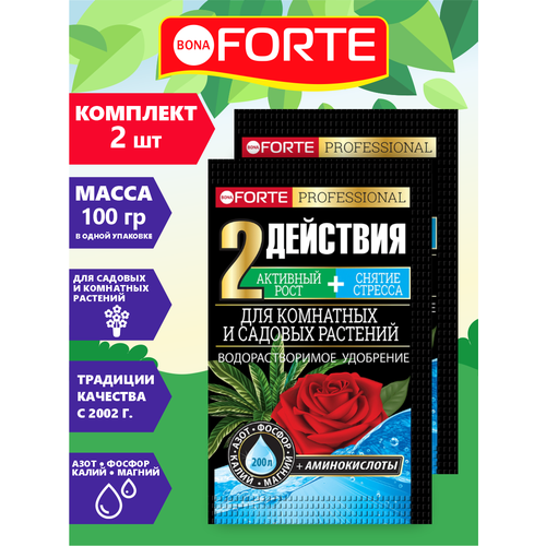  Bona Forte         100 .  2 .   -     , -,   