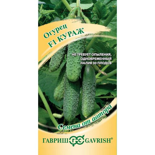 ������ ������ ������ ������ ����� F1, 10��, ������, ������ �� ������ ����