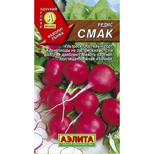 ������ ������ ����� ����, ������ ������ 2� ����