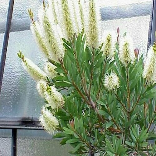 ������ ������ ����������� - ��������� �������! ������ 10 ��, ����� ����