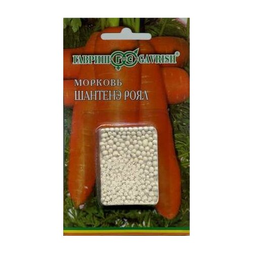 ������ ������ ������ ������� ��������������� ������� ���� 300�� (������) ����