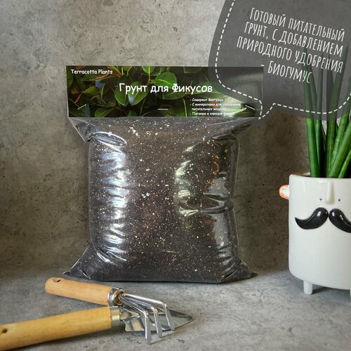 ������ ������ ������� ����� ��� ������� � �������� �������� Terracotta Plants, 5 ������ ����