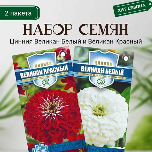 ������ ������ ������ ������� ����� � ������� ������� 2 ������ �� 0,3� ����� ����