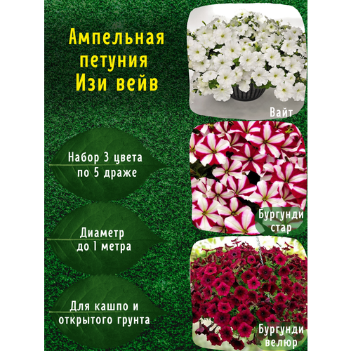 ������ ������ ��������� ������� ���������������� ������ ��� ���� ����, ��������, �������� ���� �� 5 ����� ����