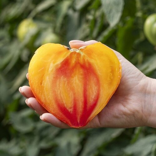 ������ ������ ������������� ������ ������ ������ ����