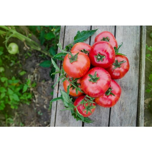 ������ ������ ������������� ������ ������ ���� ��� ����