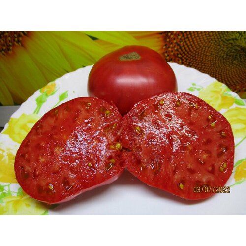 ������ ������ ������������� ������ ������ ������� �� �������� ����