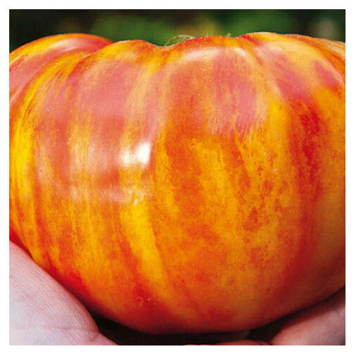 ������ ������ ������������� ������ ������ ������� ������ ����