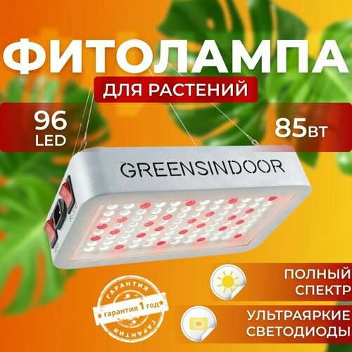 ������ ������ ��������� ��� ����������� �������� ������� ������ ������, ���������������� �������������� ������������ Quantum board, ����� ��������� ��� ������ � ��������, 85 ���� ����