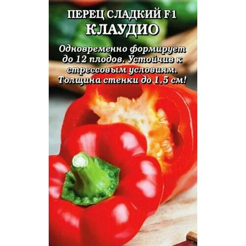 ������ ������ ������������� ������ ����� �������� ������� F1 ����