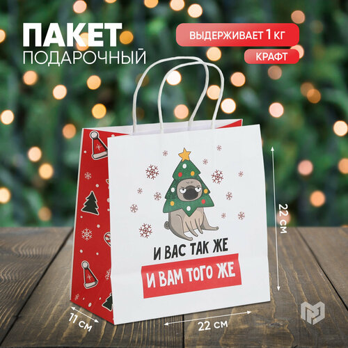 ������ ������ ����� ���������� �� ��� �����, 22 � 22 � 11 ��, ����� ��� ����