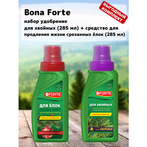      (285 ) +       (285 ) Bona Forte   -     , -,   