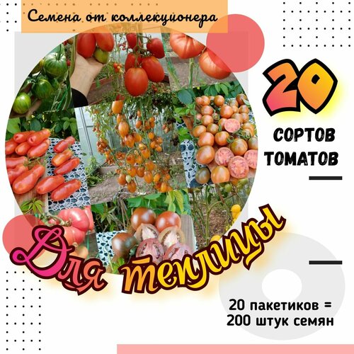 ������ ������ ������ �������, ����� 20 ������ ��� �������, 200 ����� ����