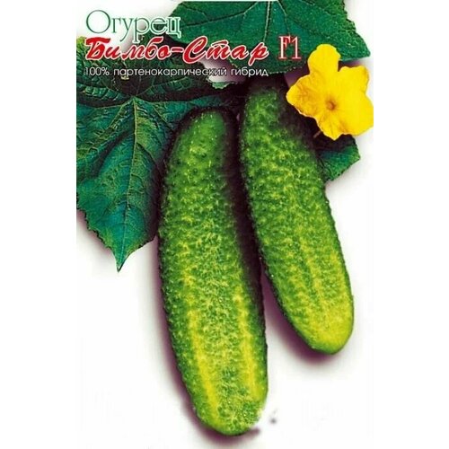 ������ ������ ������������� ������ ������ �����-���� F1 ����