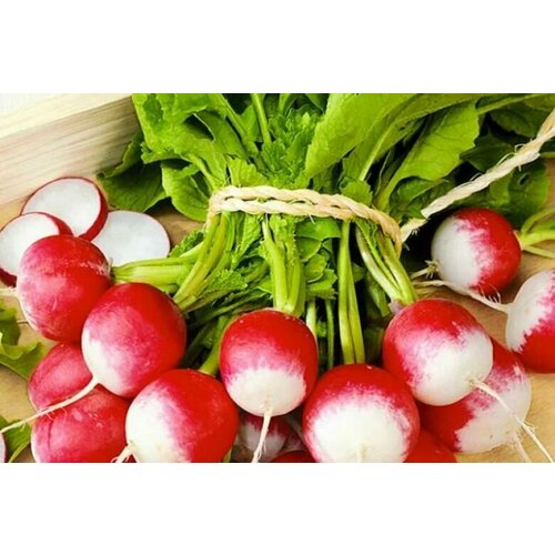 ������ ������ ������������� ������ ������ ������� ����