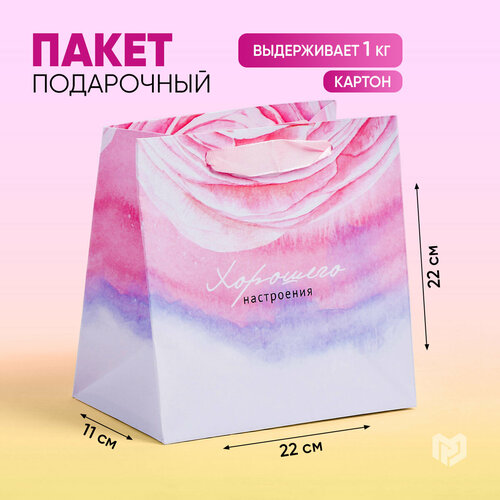 ������ ������ ����� ���������� ���������� ���������, 22 � 22 � 11 �� ����