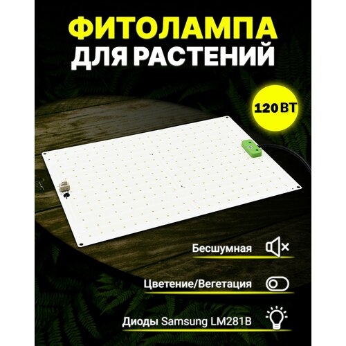 ������ ������ ���������� ��� �������� � ������� Samsung LM281b+, ��������� 120 ����, quantum board, ����