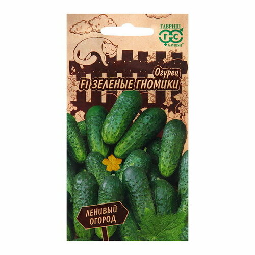 ������ ������ ������ ������ 