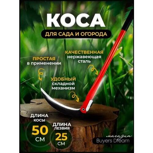 ������ ������ ���� �������� ��� �����, 50 �� ����