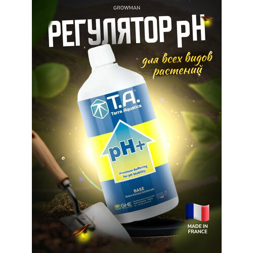   pH+ T.A. (GHE)  1 .   -     , -,   