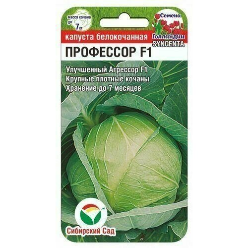 ������ ������ ������� ��������� F1 10�� (��� ���) ����