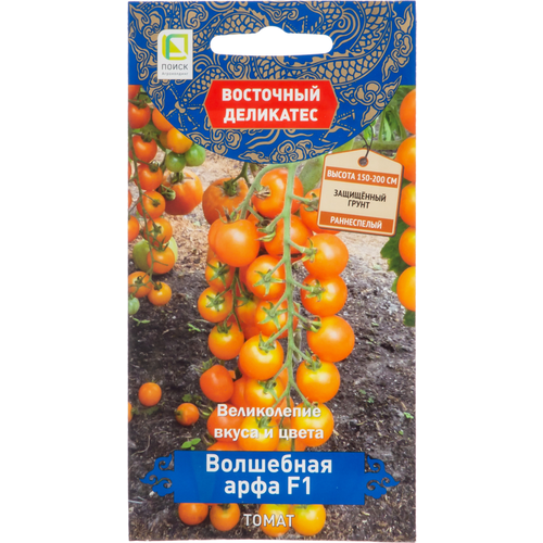 ������ ������ ������ ����� ����� ��������� ���� F1 (�) (��) ����