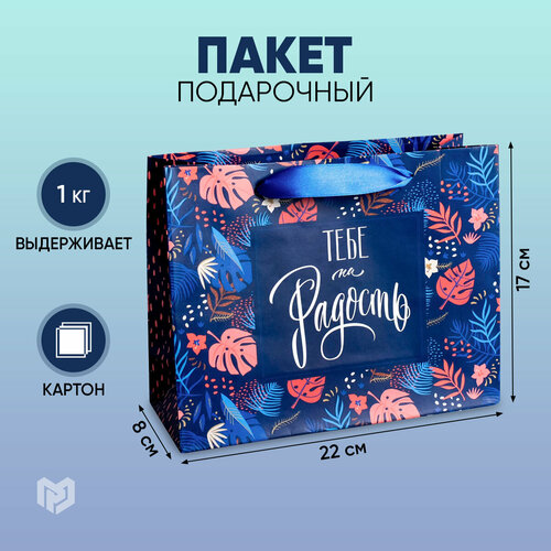 ������ ������ ����� ���������� ������ ������� ���� �� �������, 22 x 17,5 x 8 ��, �������/�����/������ ����