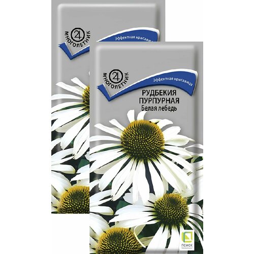 ������ ������ �������� ��������� ����� ������ (0,1 �), 2 ������ ����