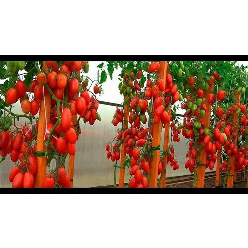 ������ ������ ������������� ������ ������ ������� ������� ����