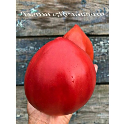 ������ ������ ������������� ������ ������ ���������� ������ ���������� ����