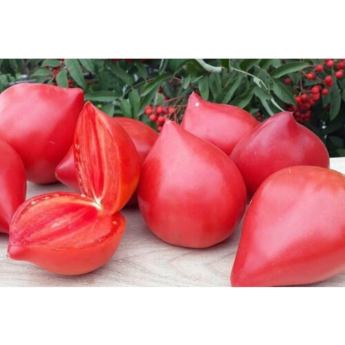 ������ ������ ������������� ������ ������ ����������� �� ���������� ������� � ������� ����