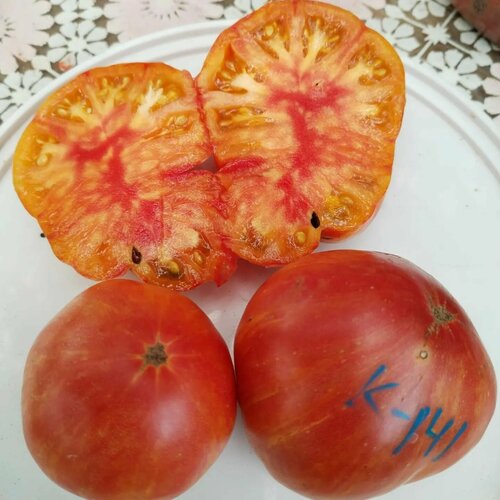 ������ ������ ������������� ������ ������ ������ 174/ 1 ����