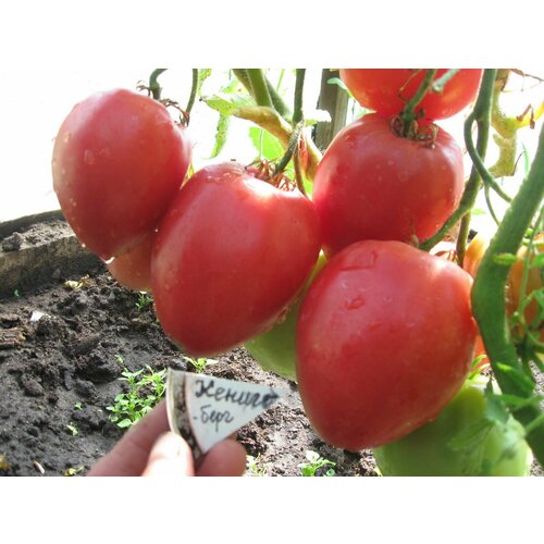 ������ ������ ������������� ������ ������ ���������� ������������ ����