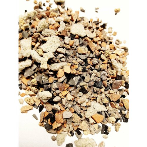 ������ ������ ����������� ��������/����� ��� ����� ����� �������� 1� ����