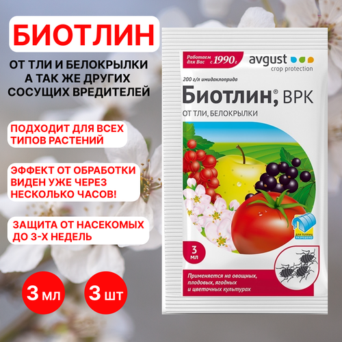 ������ ������ August ������� 3 ��, 3�� ����