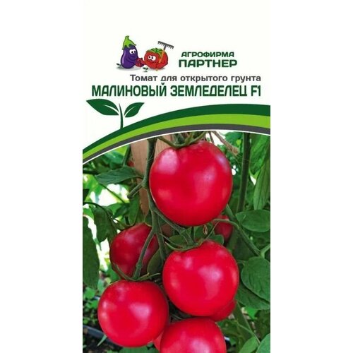 ������ ������ ����� ����� ��������� ���������� F1 ������ ������� (1 ��������-0,05 � �����) ����