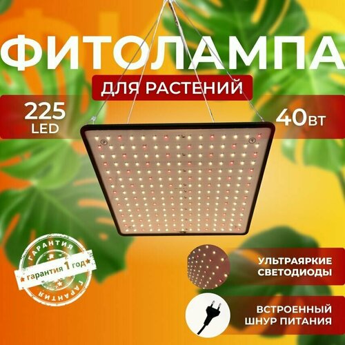 ������ ������ ��������� ��� ����������� �������� ������� ������ ������ �������������� ������������ Quantum board ����� ��������� ��� ������ 225 LED ����