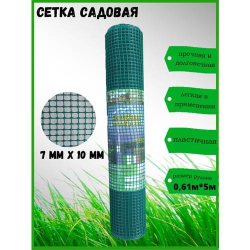 ������ ������ ����� ������� �� ���� 7*10�� ������ ������ 61 �� � 5 � ����