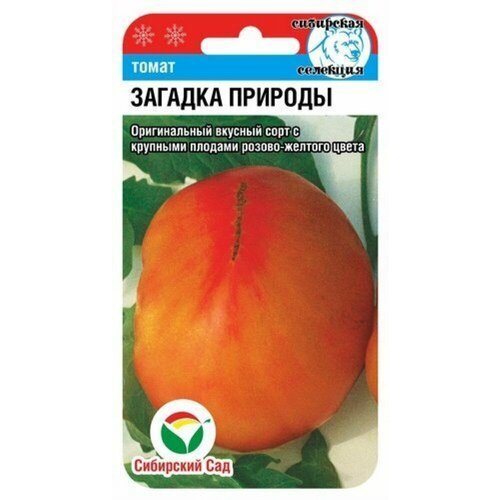 ������ ������ ������ ����� ������� ������� 20�� ����� (��������� ���) ����