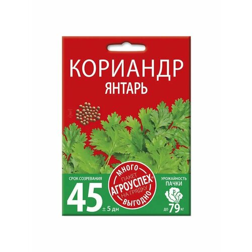 ������ ������ ������ ��������� ������ 25 � ����