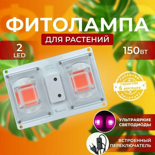 ������ ������ ��������� ��� ����������� �������� ������� ������ ������ �������������� ������������, ����� ��������� ��� ������ � �������� ����