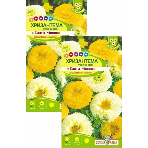 ������ ������ ���������� ����� ������ ���������� (0,3 �), 2 ������ ����