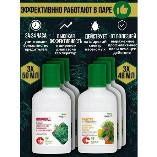 ������ ������ �������� �� �������� � ���������� ������� �������� ������ 48 �� + ������� 50 ��, ����� 6 �� ����