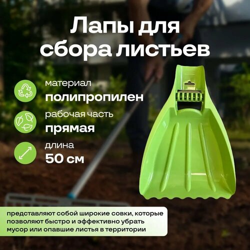 ������ ������ ���� ��� ����� ������� (2��) ����